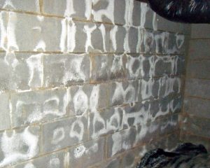 Light colored powdery or crystalline accumulation on cement blocks.